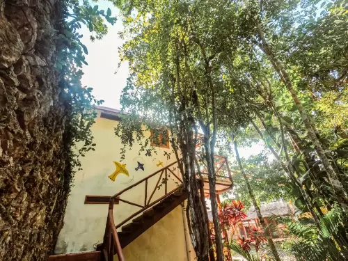 Habitacion-Selva