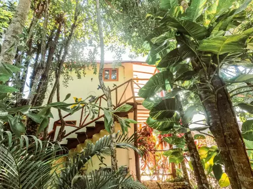 Habitaciones-Selva-Fav