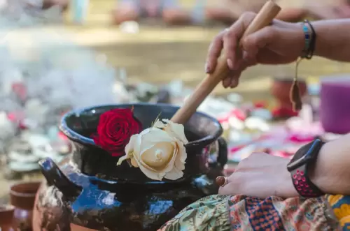 Rosas-Olla-de-barro-cacao